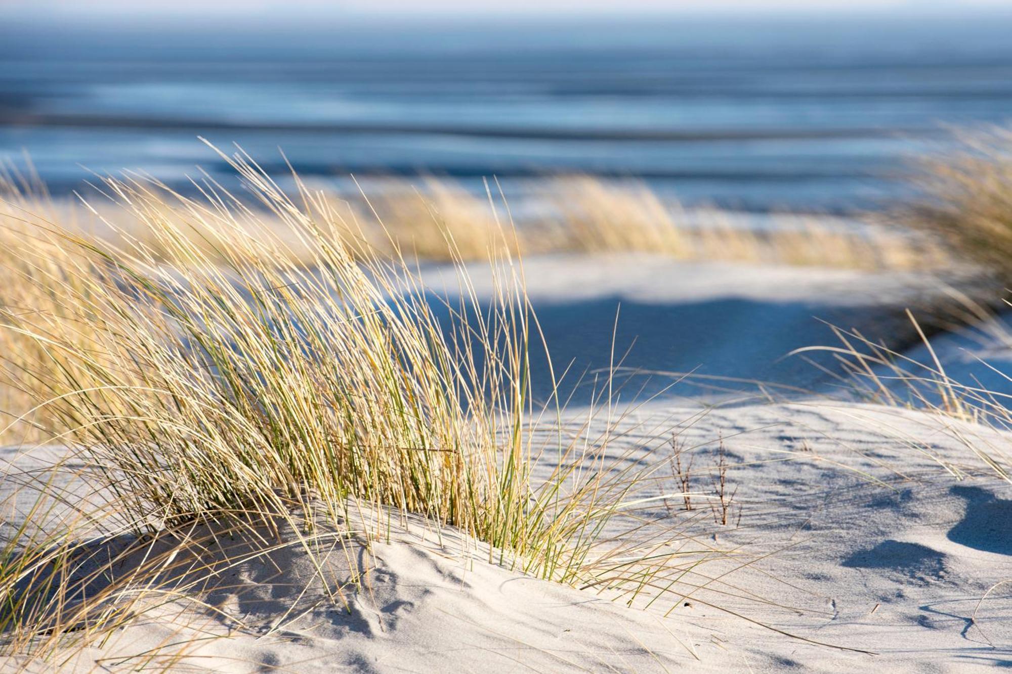 Baumzeltdorf Ostseebreeze Direkt Am Strand Дранске Экстерьер фото